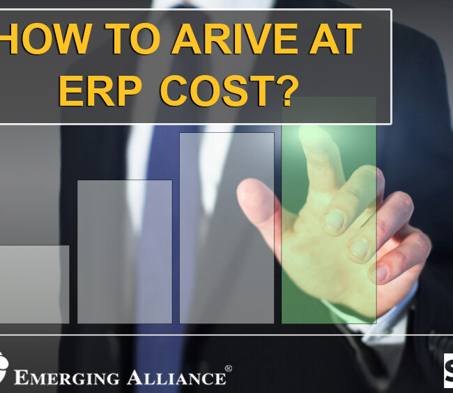 ERP cost