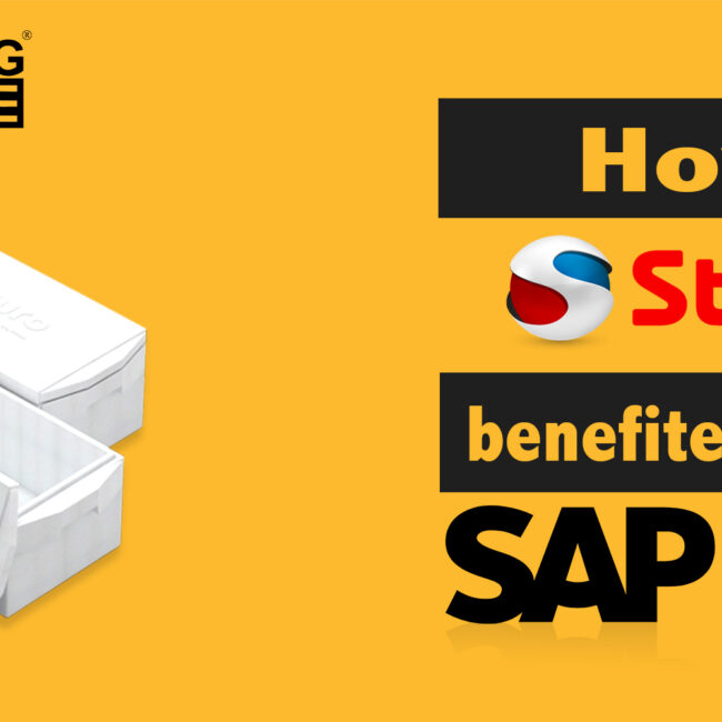 Styro Benefits from SAP Business One