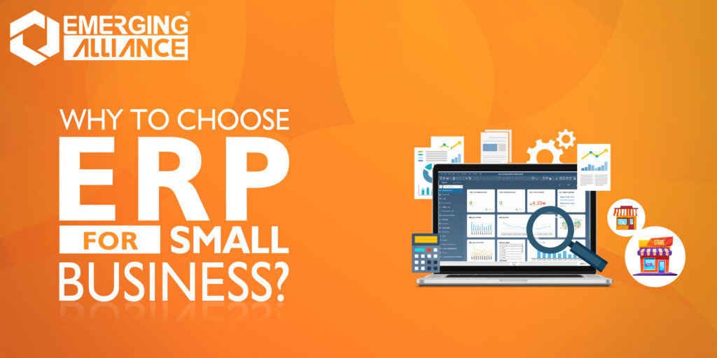 why to choose erp small business