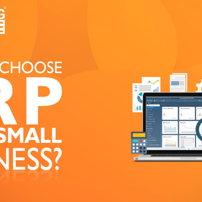 why to choose ERP small business