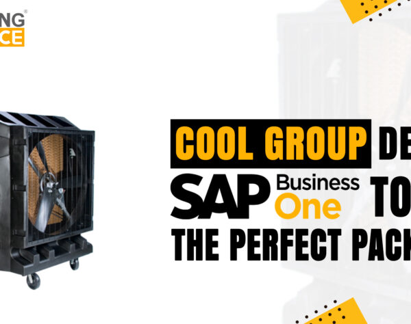 Cool Group Deem SAP Business One