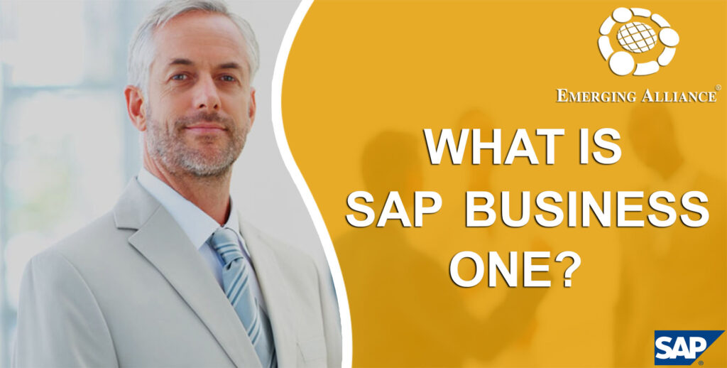 WHAT IS SAP BUSINESS ONE?