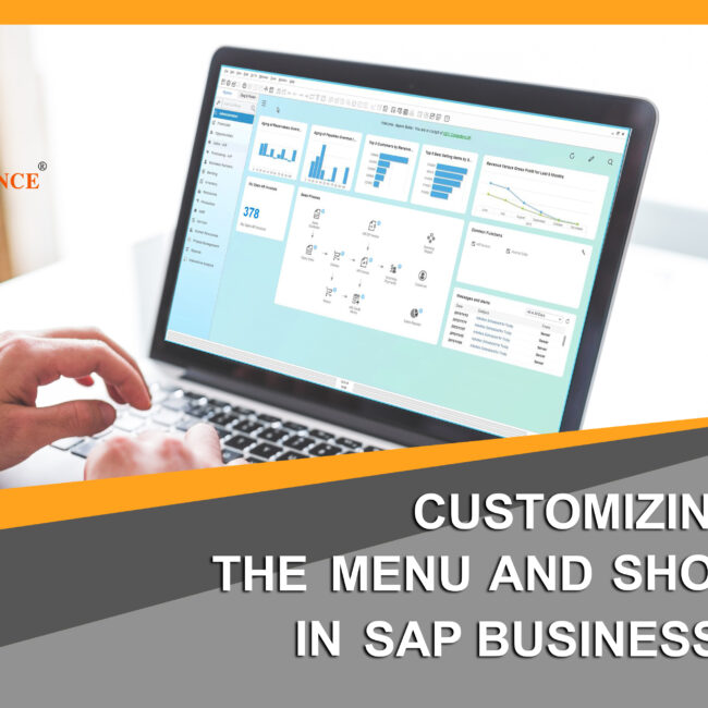 customizing menu and shortcuts in sap business one