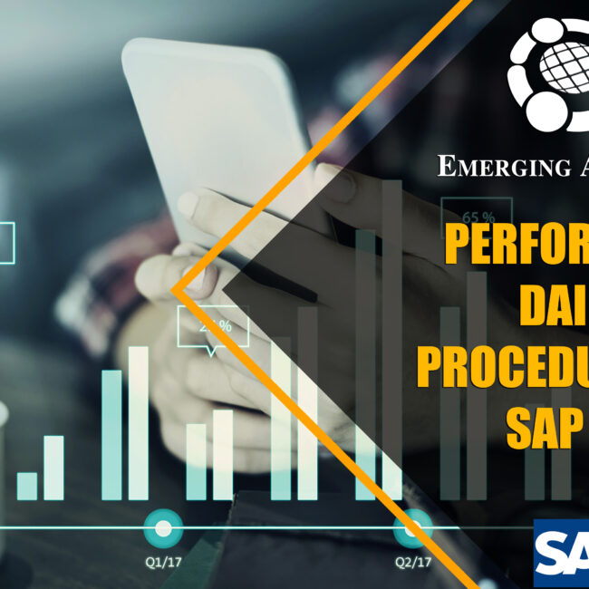 performing daily procedure in sap b1