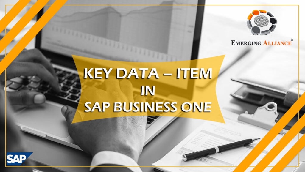 key data-item Sap b1