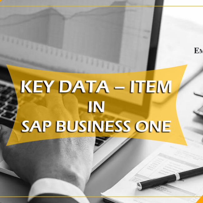 key data-item in Sap b1