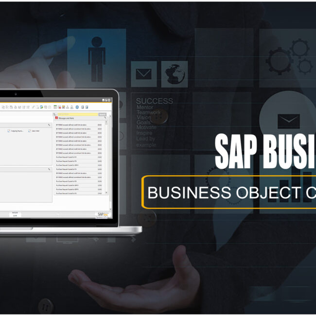 SAP B1 BUSINESS OBJECT COUNT