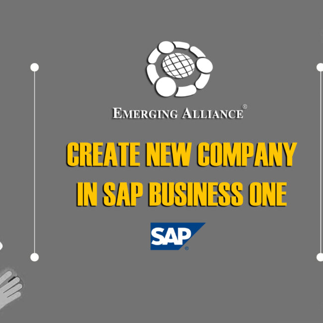 create new company in SAP B1