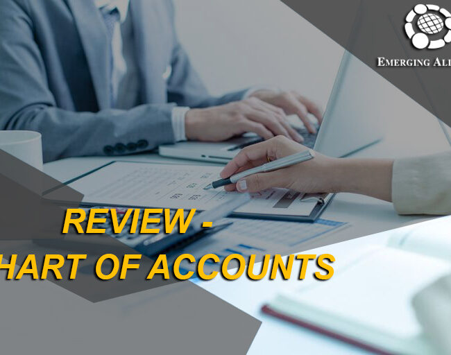 review charts of account