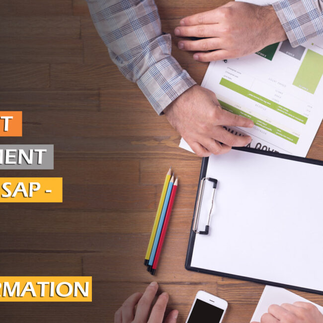 DOCUMENT MANAGEMENT SYSTEM IN SAP