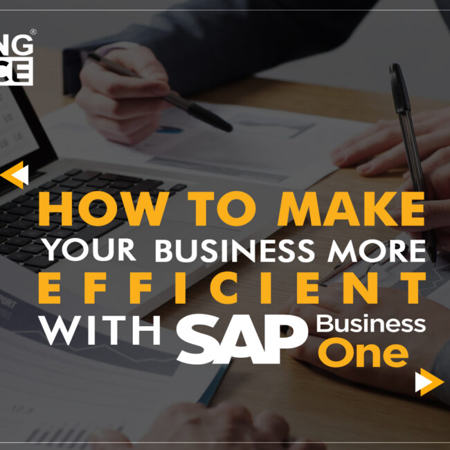 HOW TO MAKE YOUR BUSINESS SAP B1
