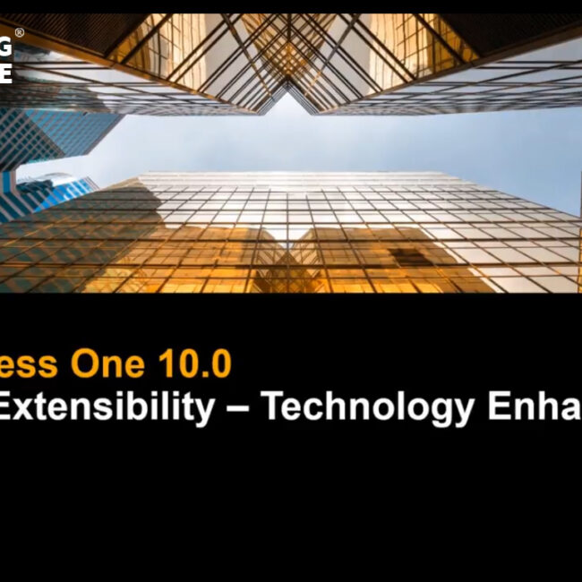 SAP B1-10.0 PLATFORM AND EXTENSIBILITY