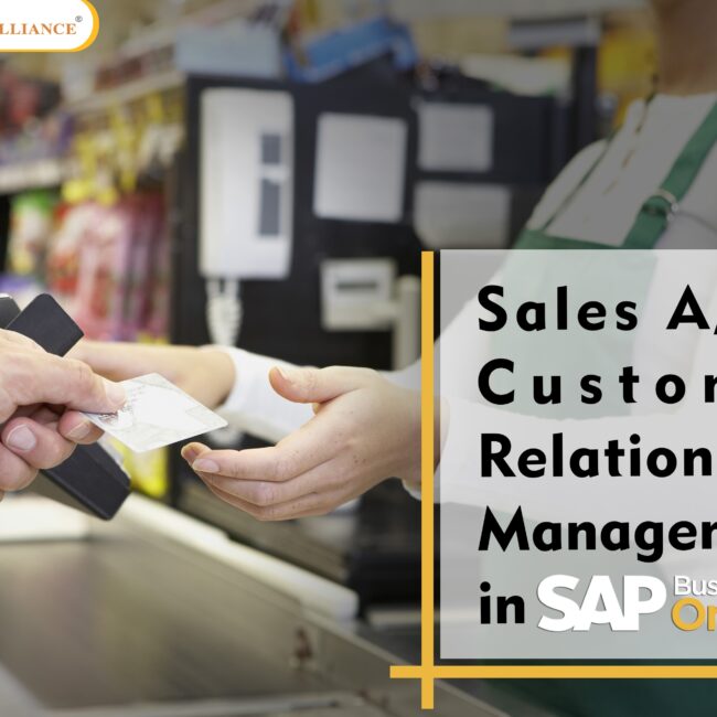 sales A/R customer relationship in sap business one