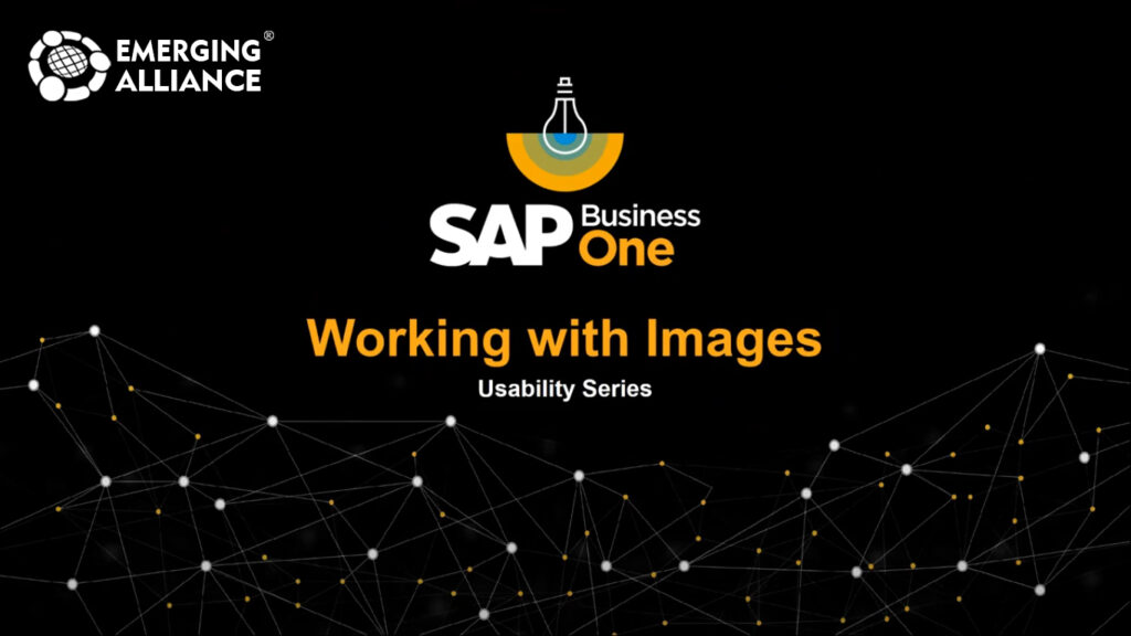 WORKING WITH IMAGES IN SAPB B1