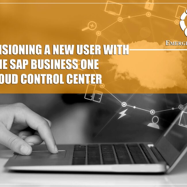 provisioning new user with sap b1