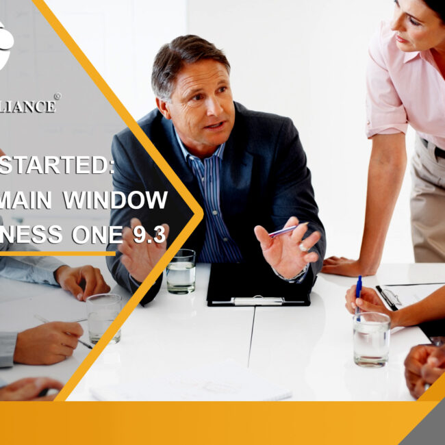 navigation main window in sap business one