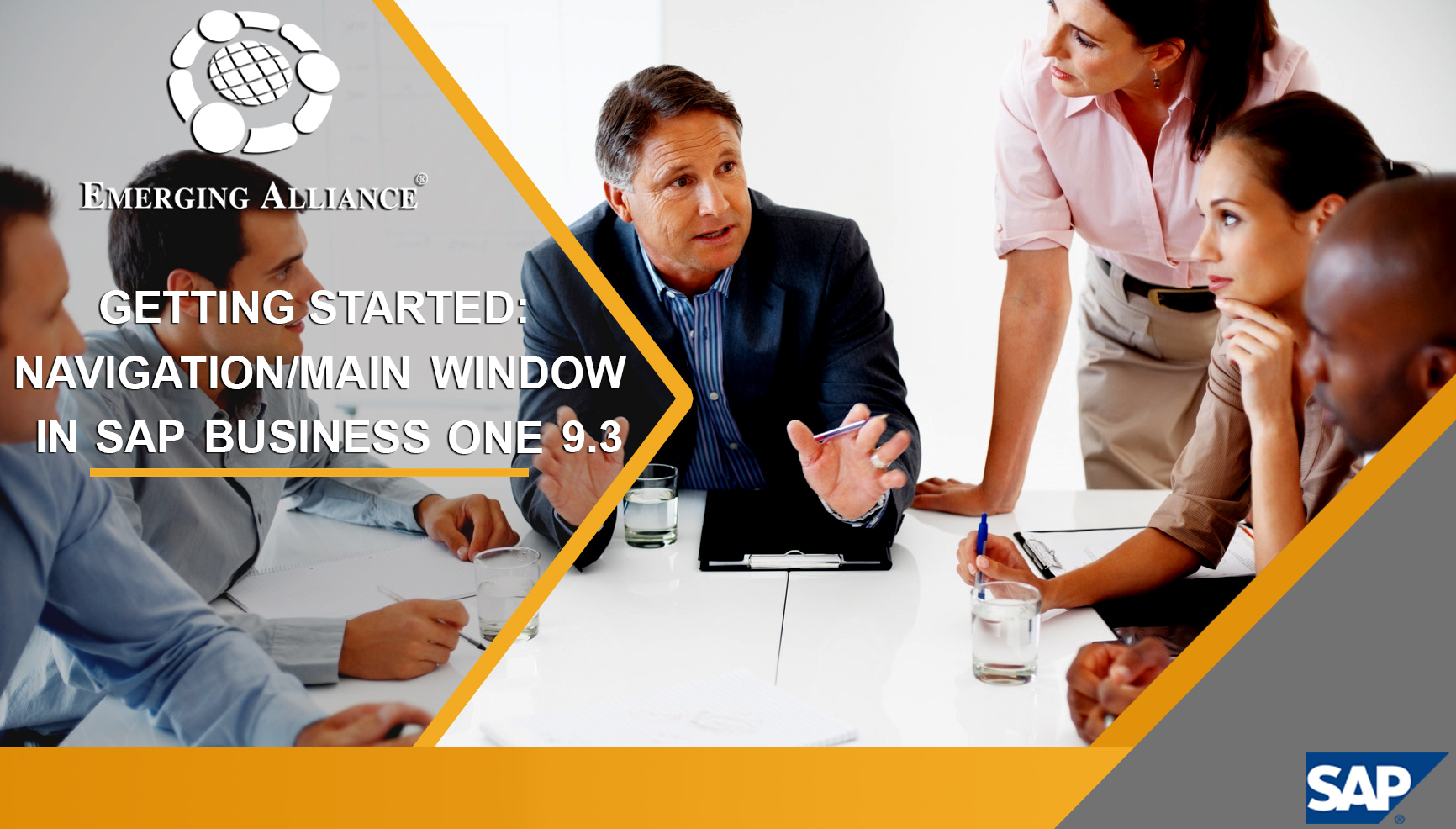 navigation main window in sap business one