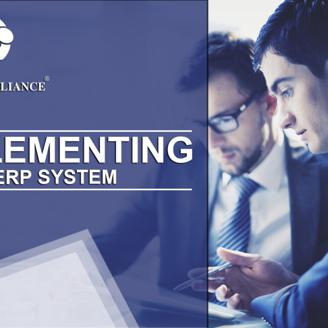 implementing new erp system