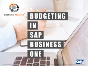 BUDGETING IN SAP BUSINESS ONE