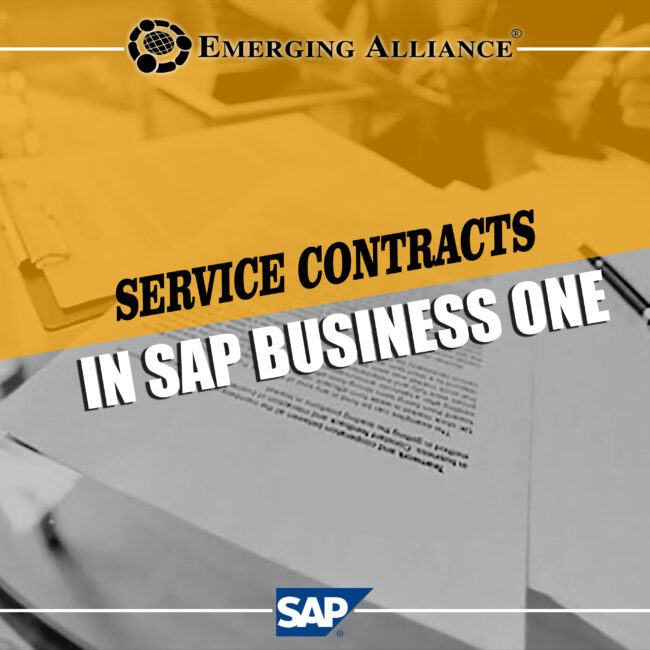 service contract in SAP B1 ERP