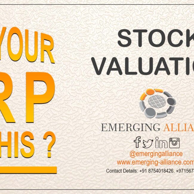 stock valuation - ERP