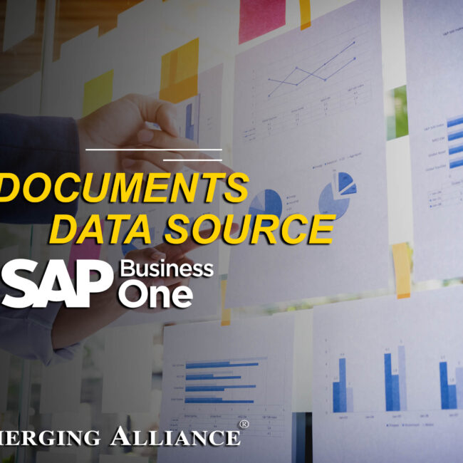 DOCUMENT DATA SOURCE in SAP B1