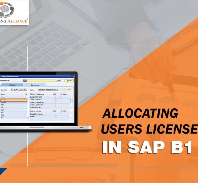 allocating users licenses in sap b1