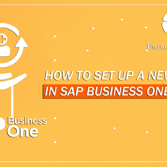 how to setup new user in SAP Business One