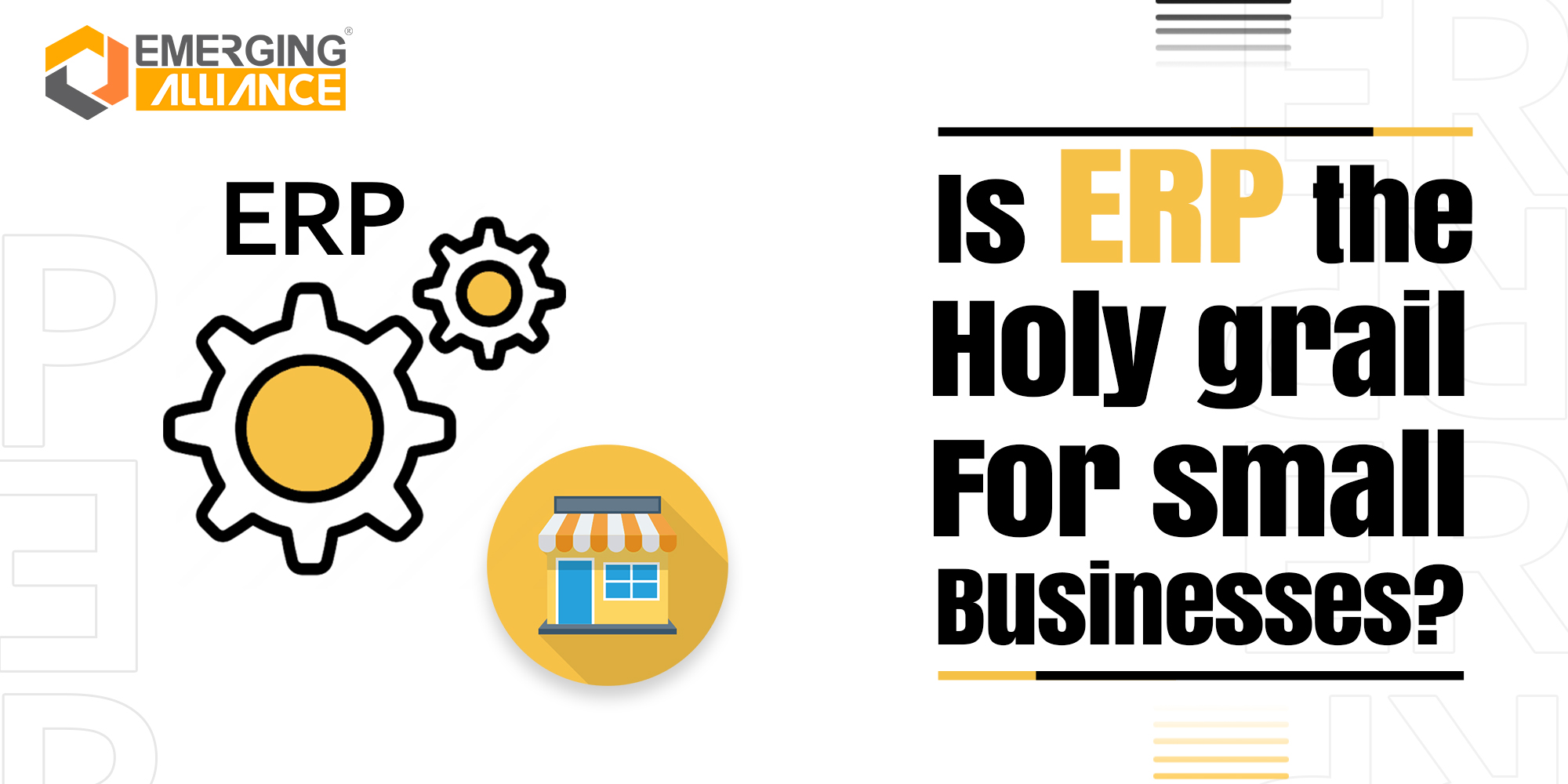 Is ERP THE HOLY GRAIL FOR SMALL