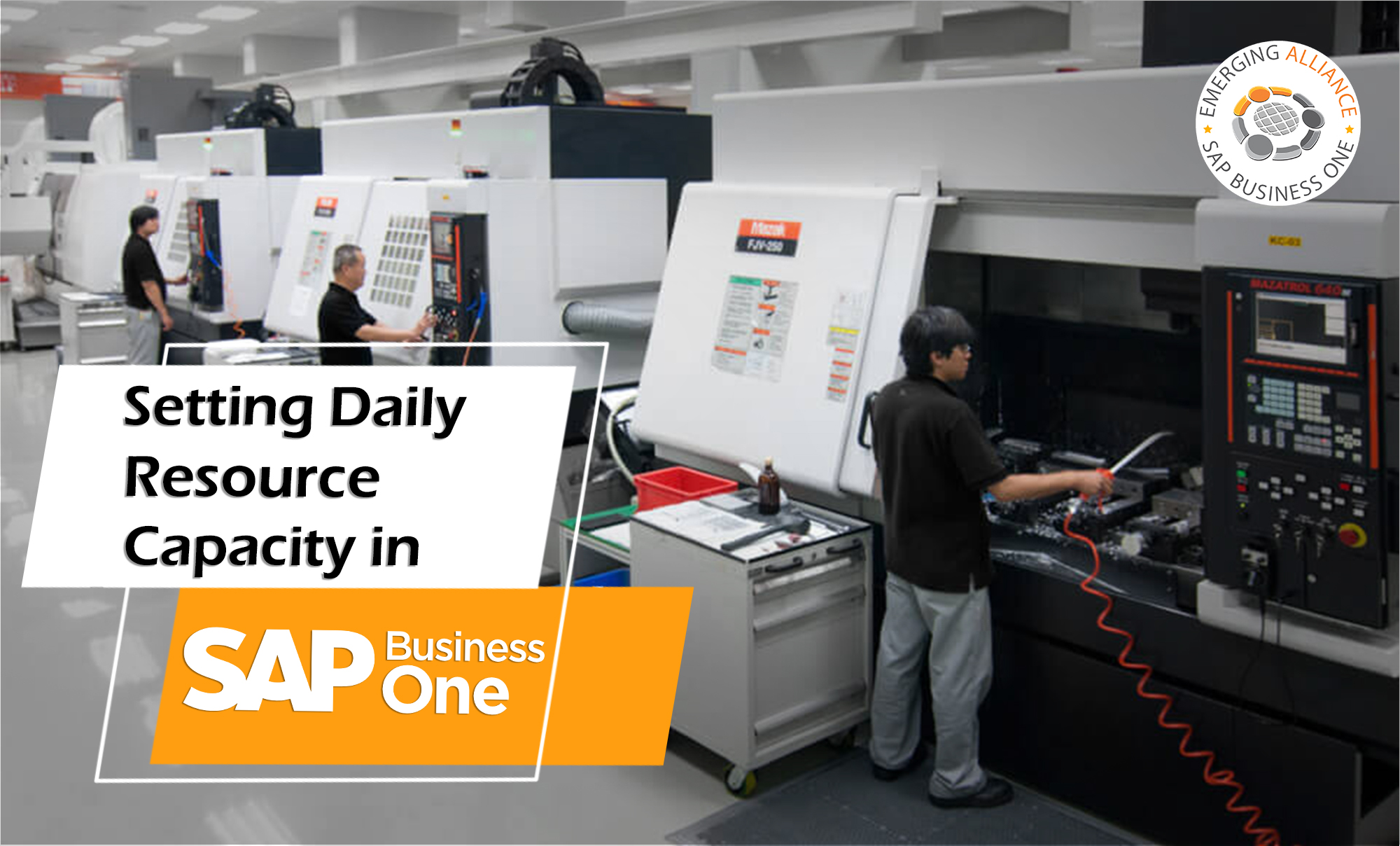 setting daily resource capacity in sap b1