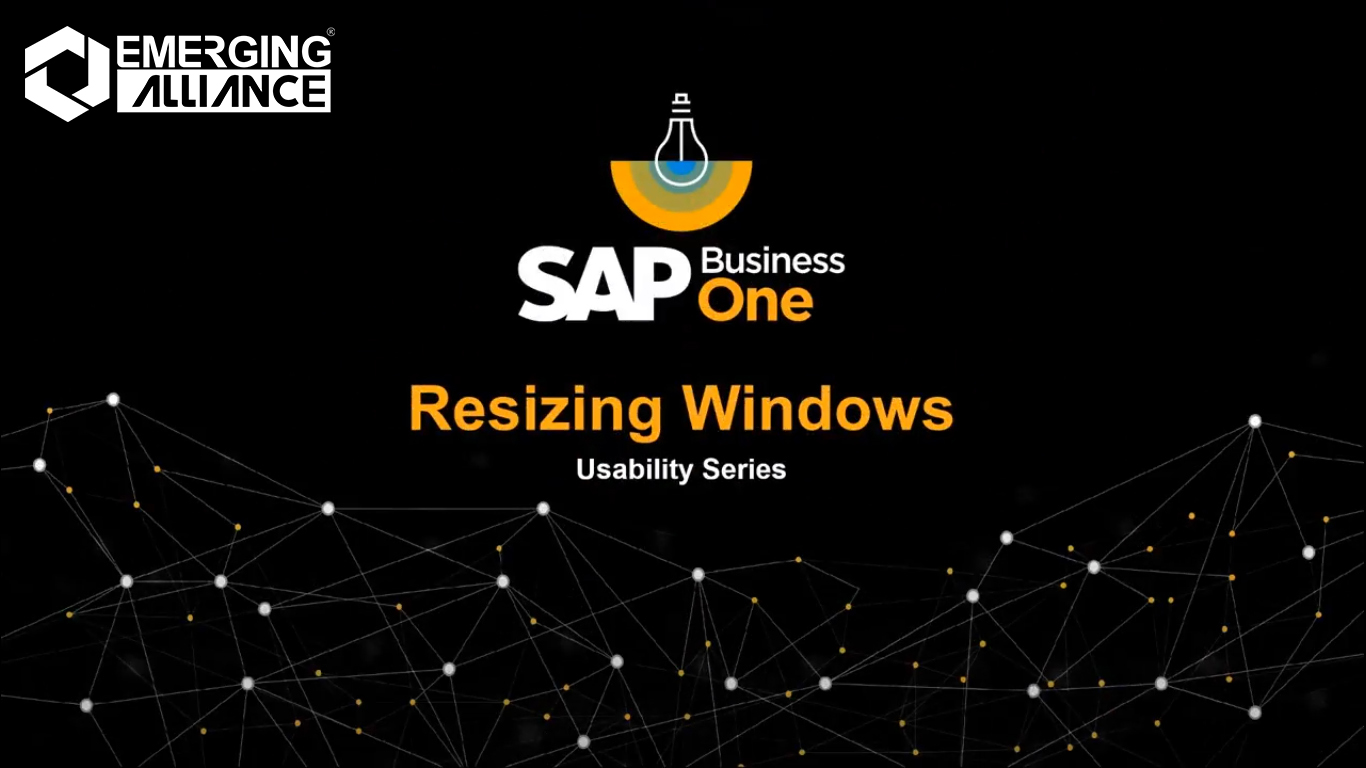 usability series resizing windows in sap b1