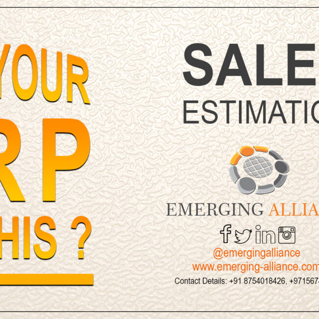 sales estimation with erp