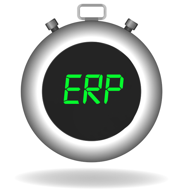 Time to implement SAP Business One ERP