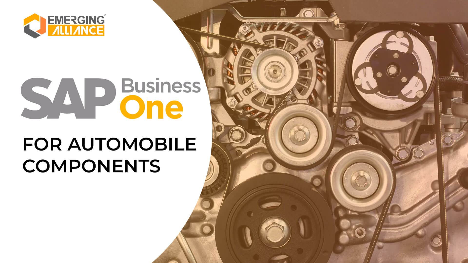 sap business one for automobile components