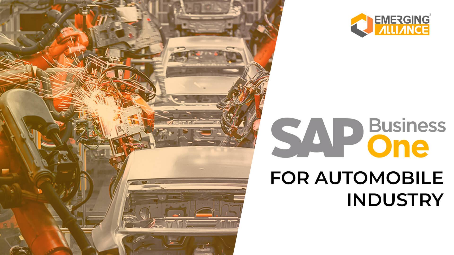 SAP Business One for automobile industry