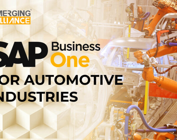 sap business one for automive industries