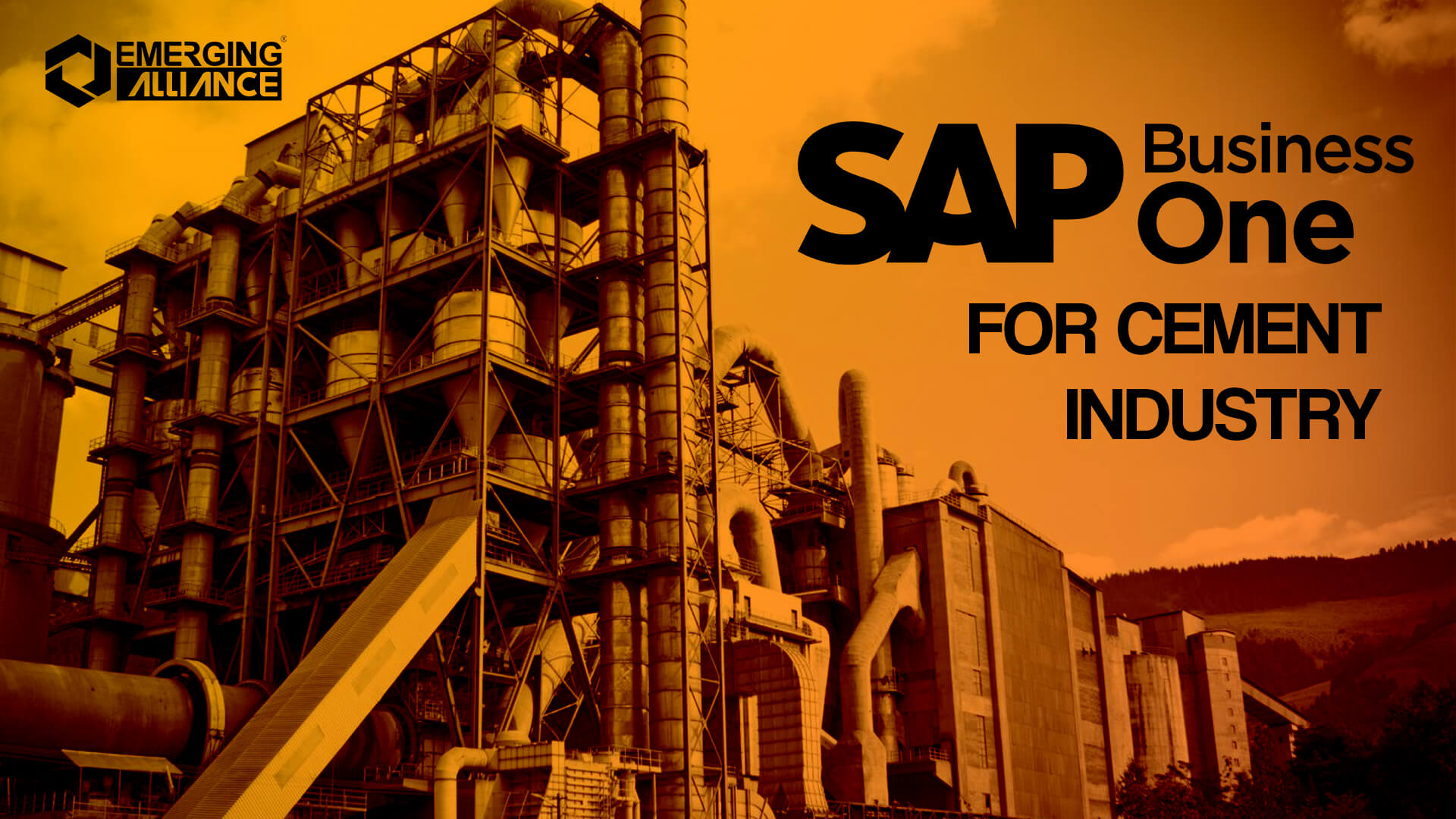 SAP Business One for cement industry