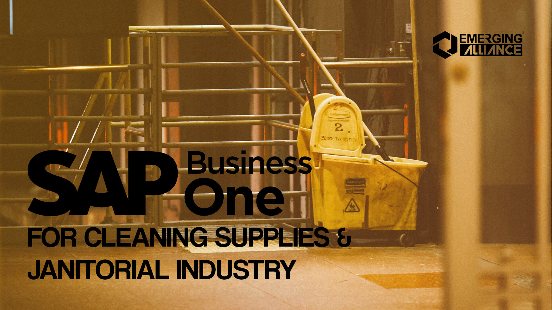 sap business one for cleaning supplies & janitorial industry