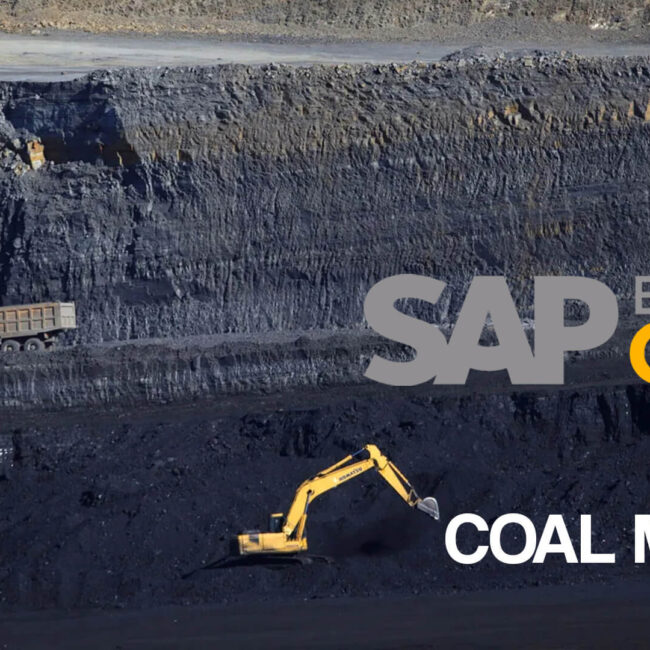 sap business one for coal mining