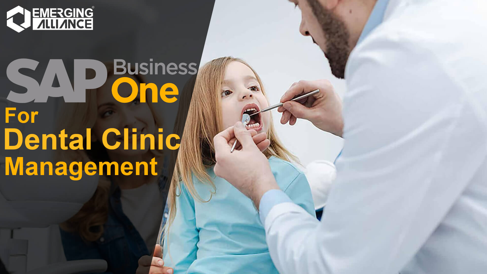 sap business one for dental clinic management