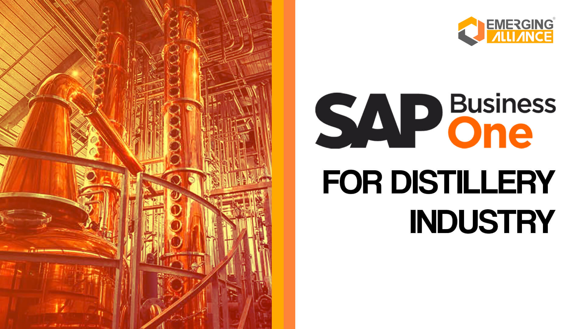 sap business one for distillery industry