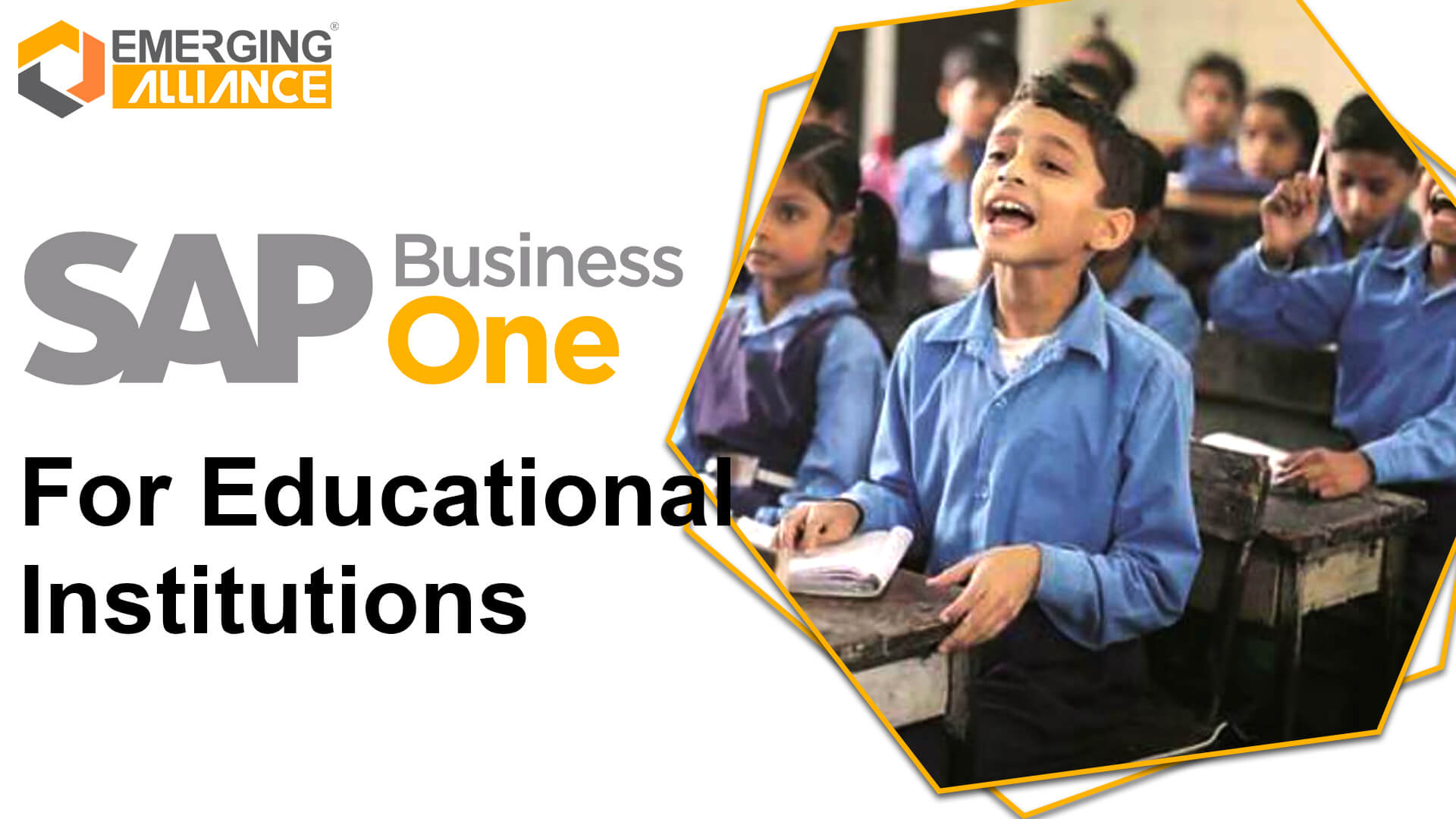 sap business one for educational institutions