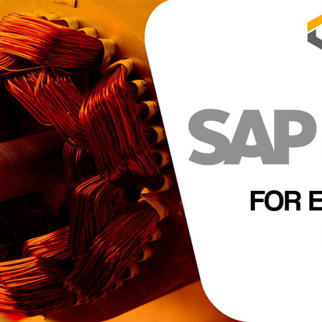 sap business one for electric motor