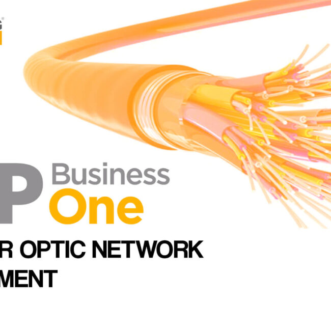 sap business one for fiber optic network management