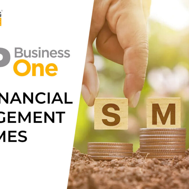 sap business one for financial management for smes