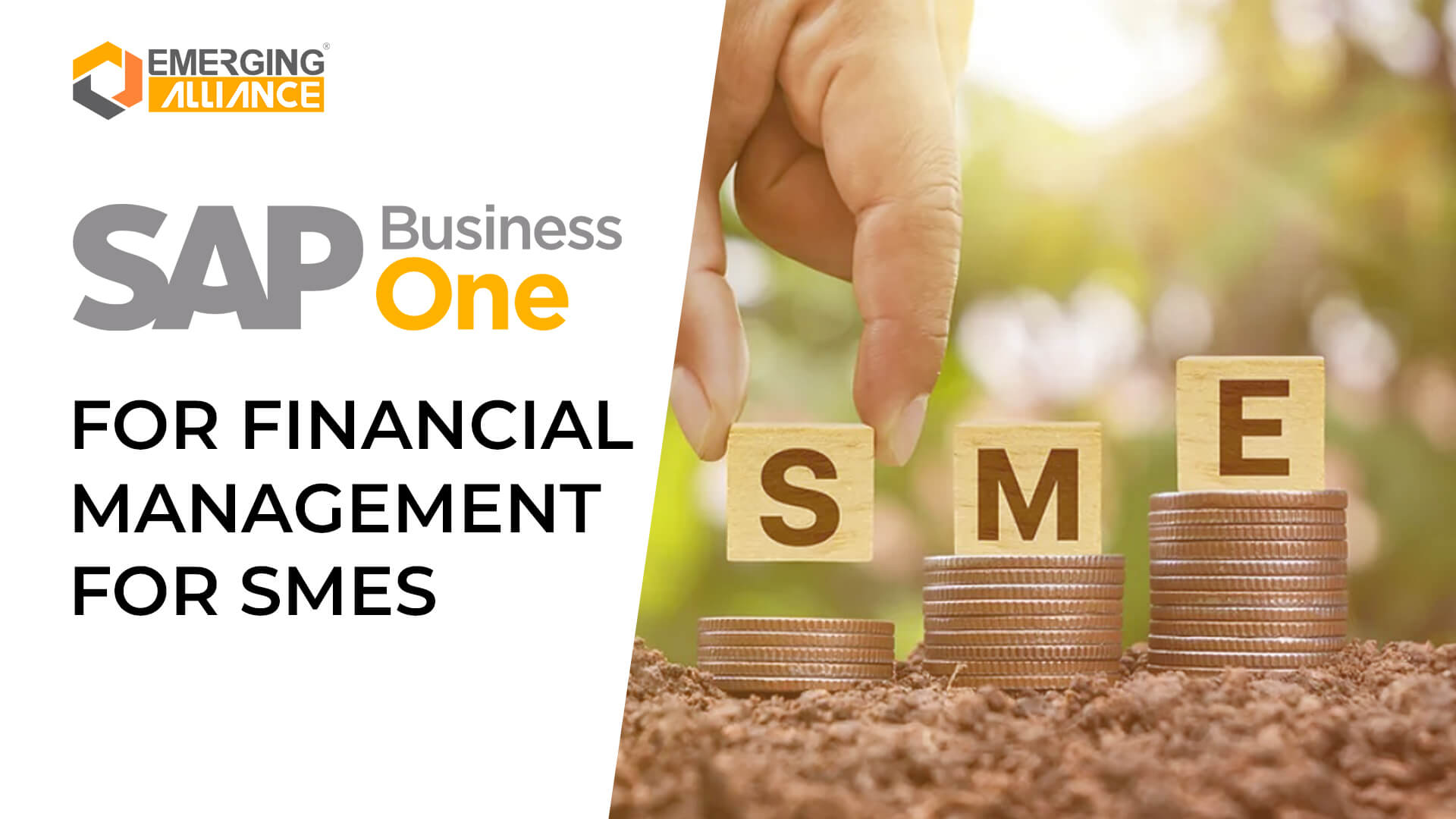 SAP Business One for financial management for SME