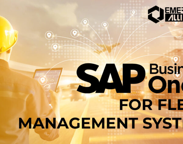 sap business one for fleet management