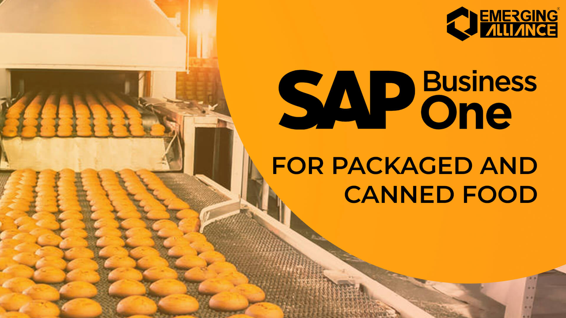 sap business one for packaged and canned food