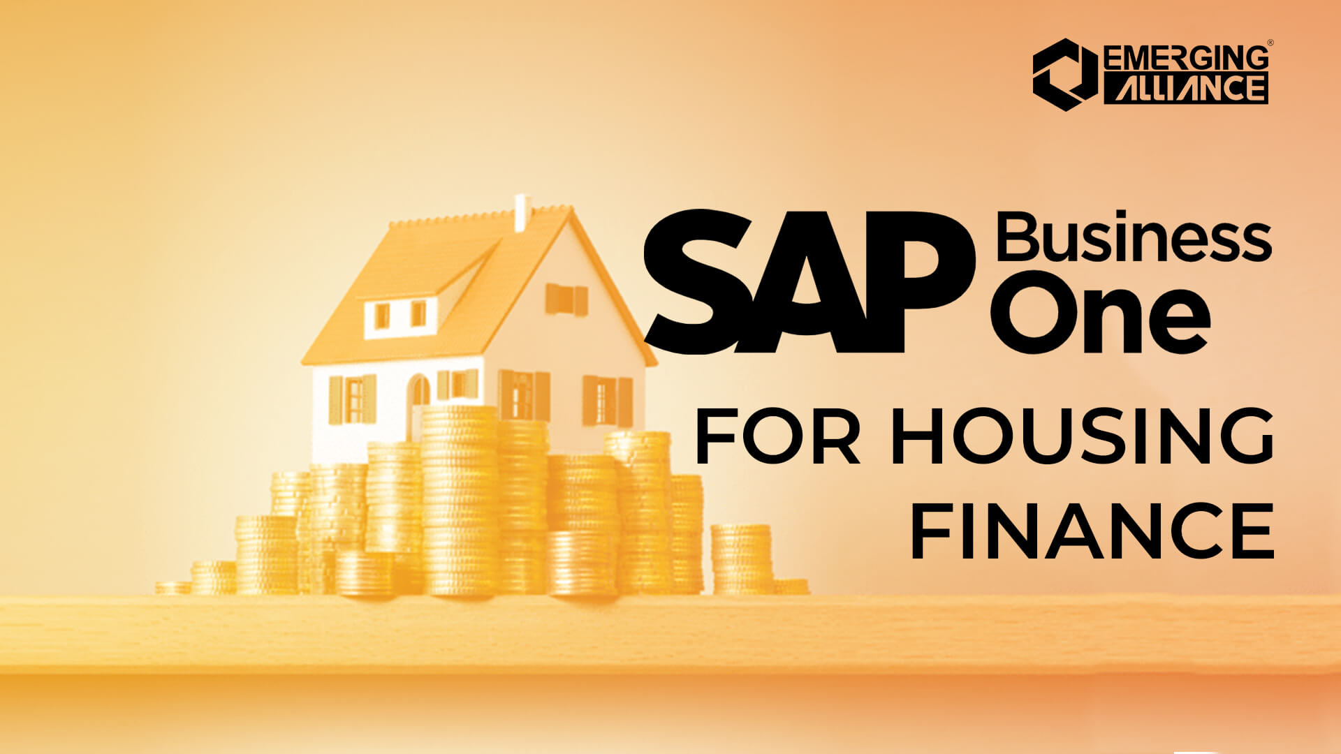 SAP Business One for housing finance