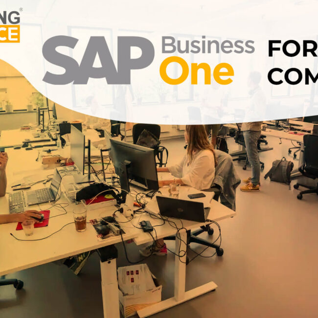 sap business one for IT companies